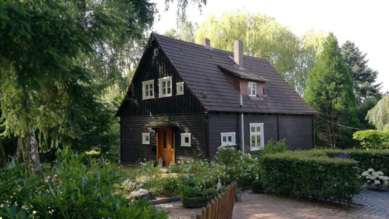 "Haus Am Knobben" Vila Uslar Exterior foto
