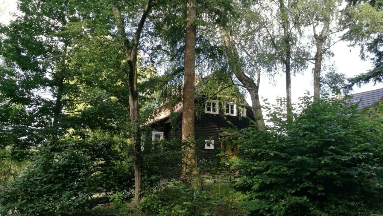 "Haus Am Knobben" Vila Uslar Exterior foto